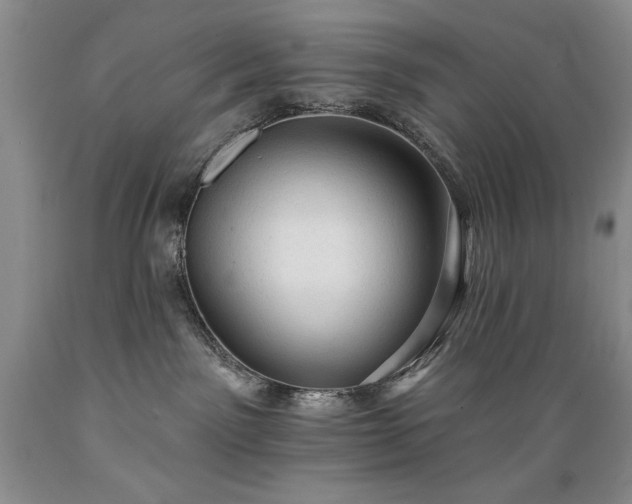 X0000089380141200706221303