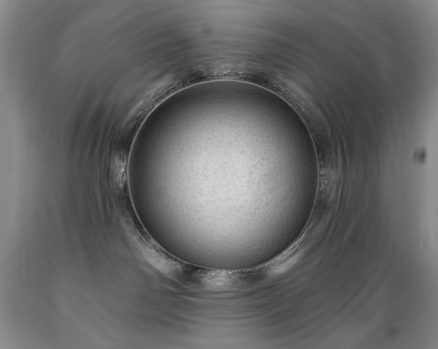 X0000089380142200706221303