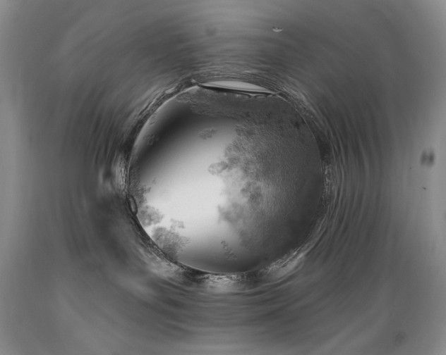 X0000089380143200706221303
