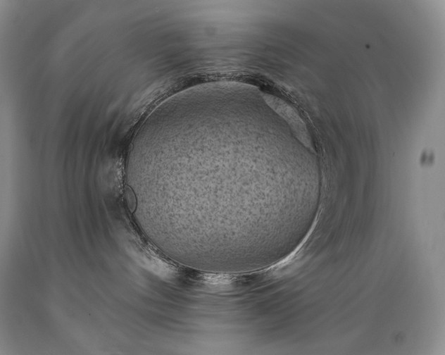 X0000089380144200706221303