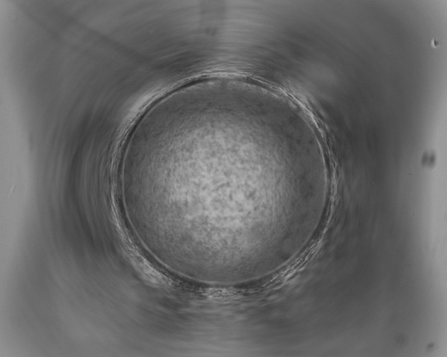 X0000089380145200706221302