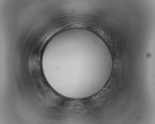 X0000089380146200706221302