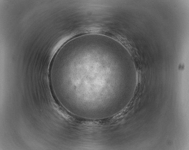 X0000089380147200706221302