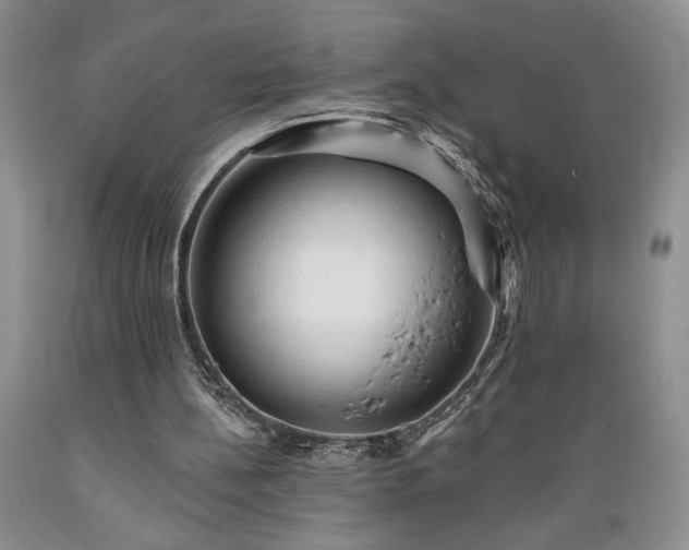 X0000089380148200706221302