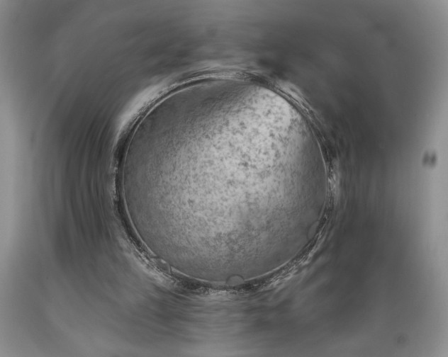 X0000089380149200706221302