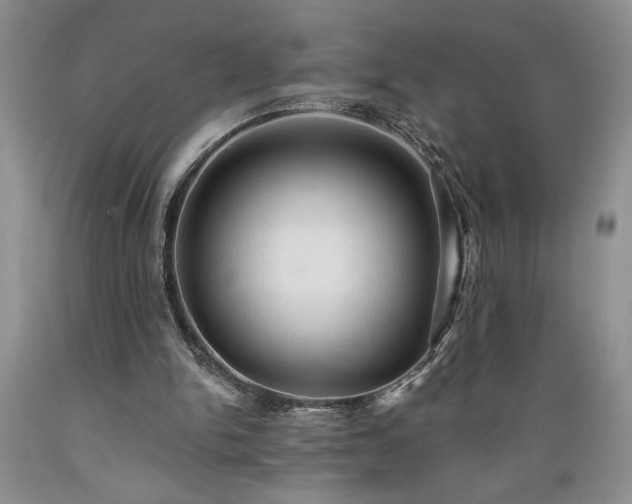 X0000089380150200706221302
