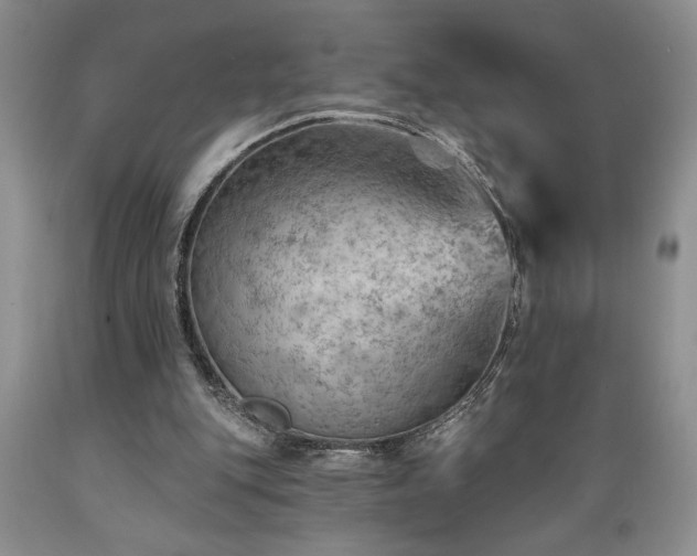 X0000089380151200706221302