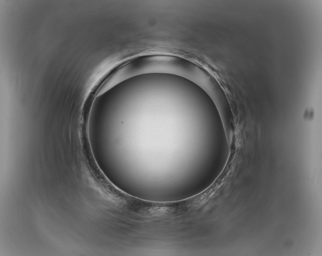X0000089380152200706221302
