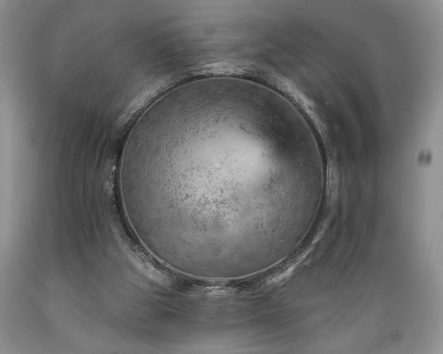 X0000089380153200706221302