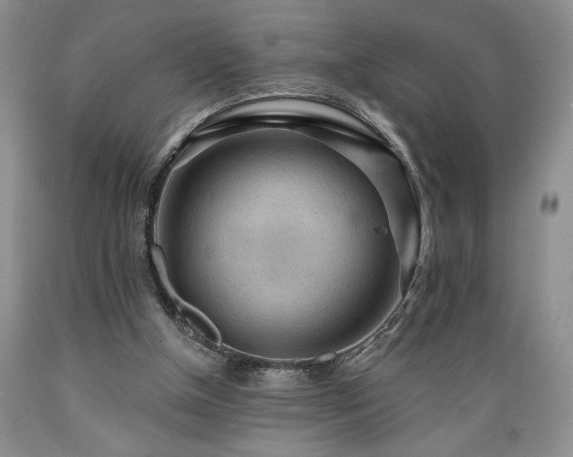X0000089380154200706221302