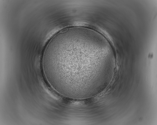 X0000089380155200706221302