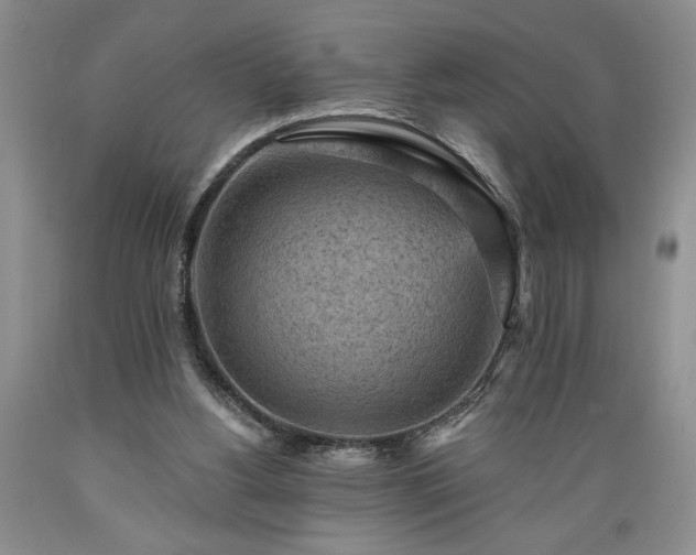 X0000089380156200706221302