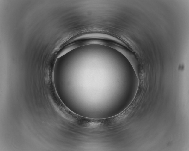 X0000089380158200706221302