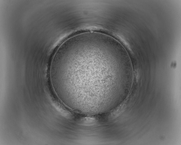 X0000089380159200706221302