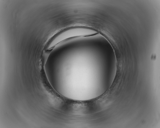 X0000089380160200706221302