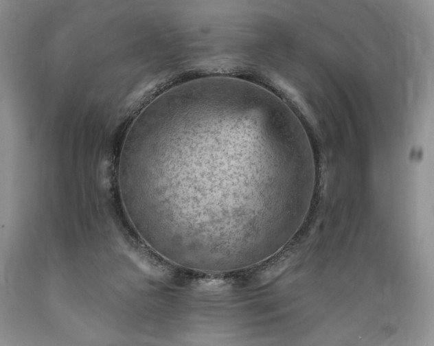 X0000089380161200706221302
