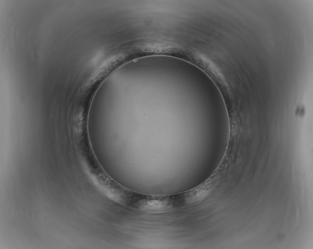X0000089380163200706221302