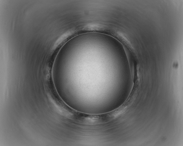 X0000089380164200706221302
