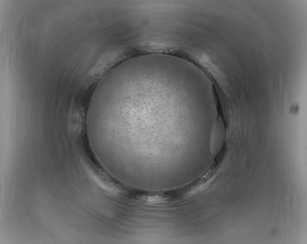 X0000089380165200706221302