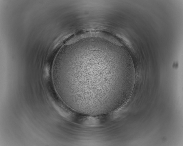 X0000089380166200706221302