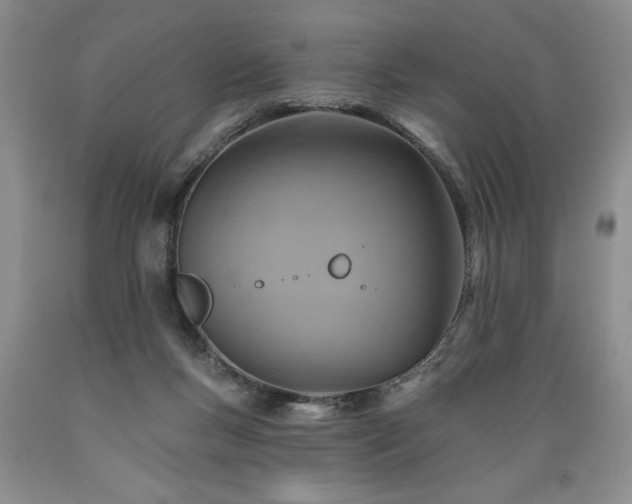 X0000089380167200706221302