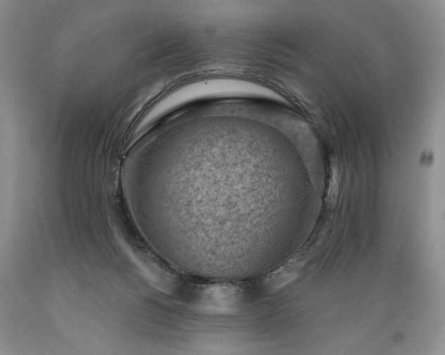 X0000089380168200706221302
