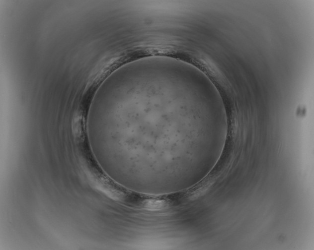 X0000089380169200706221302