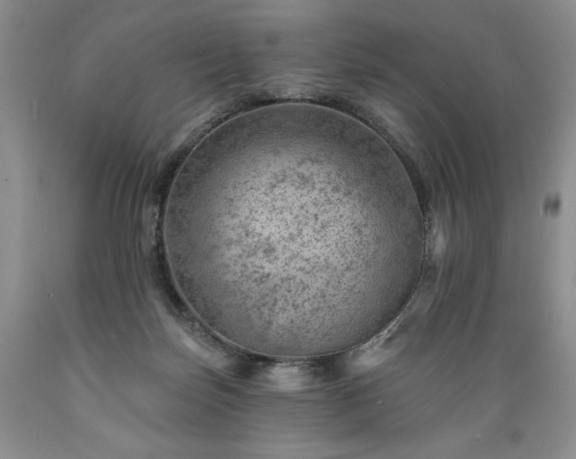 X0000089380171200706221303