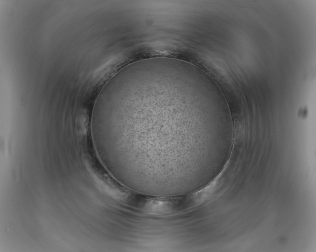 X0000089380174200706221303