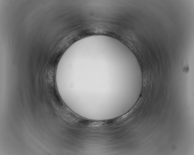 X0000089380175200706221303