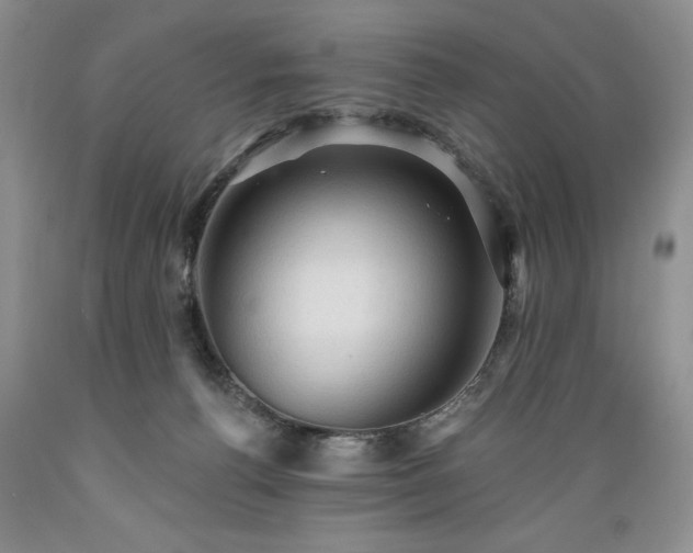 X0000089380176200706221303