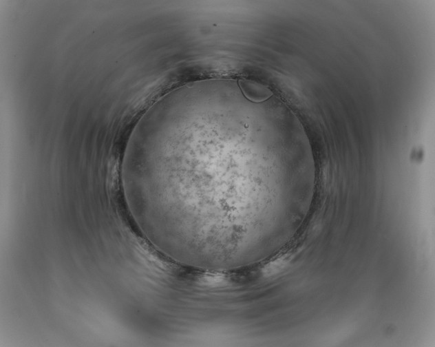 X0000089380177200706221303