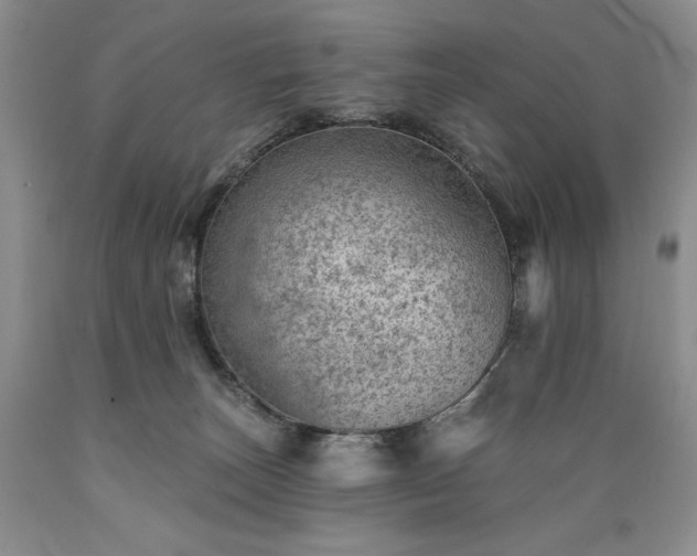 X0000089380179200706221303