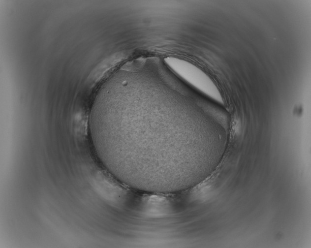 X0000089380180200706221303