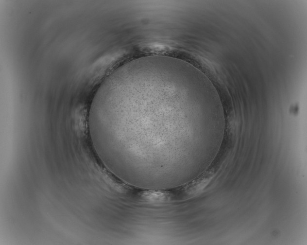 X0000089380181200706221303