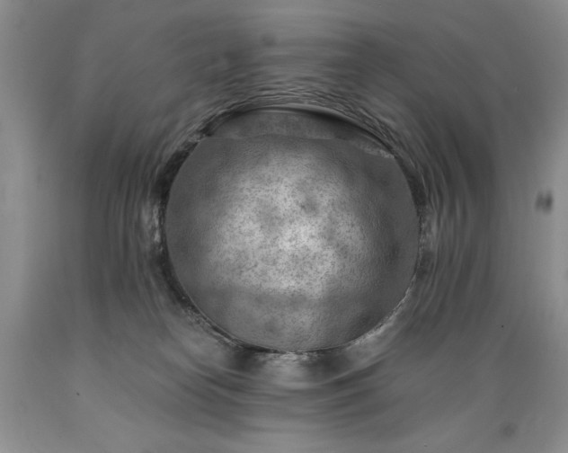 X0000089380182200706221303