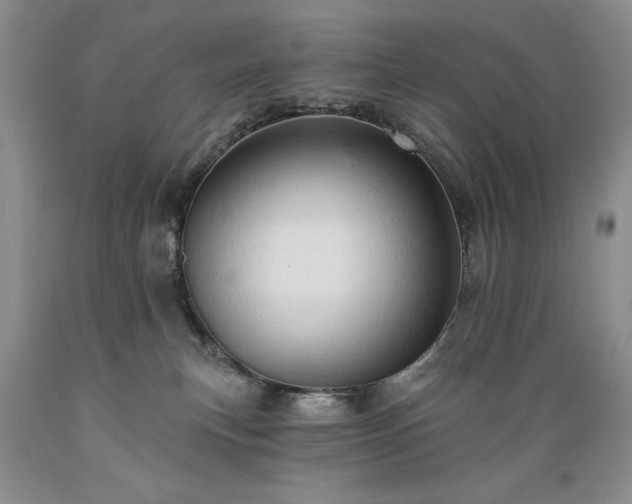 X0000089380183200706221303