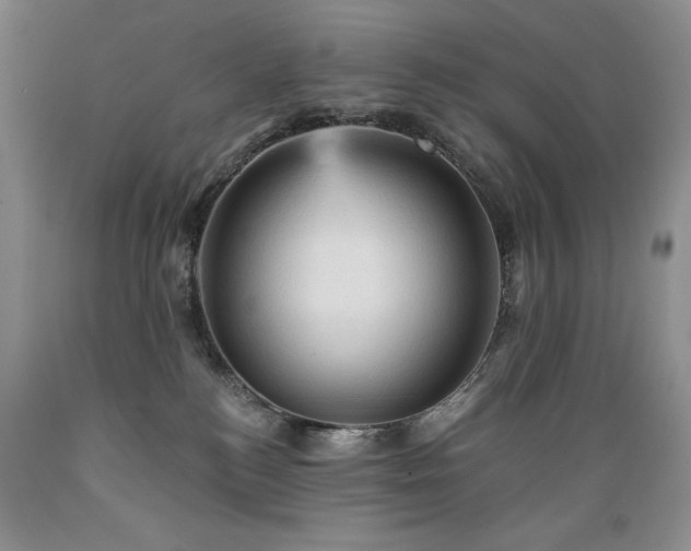 X0000089380184200706221303