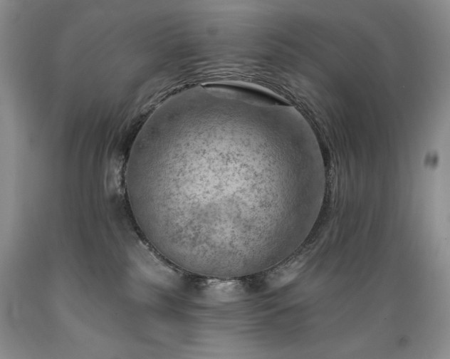 X0000089380185200706221303
