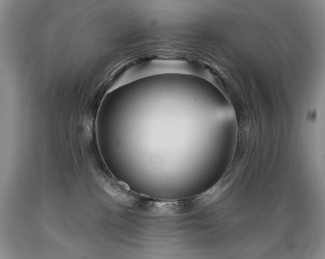 X0000089380188200706221303