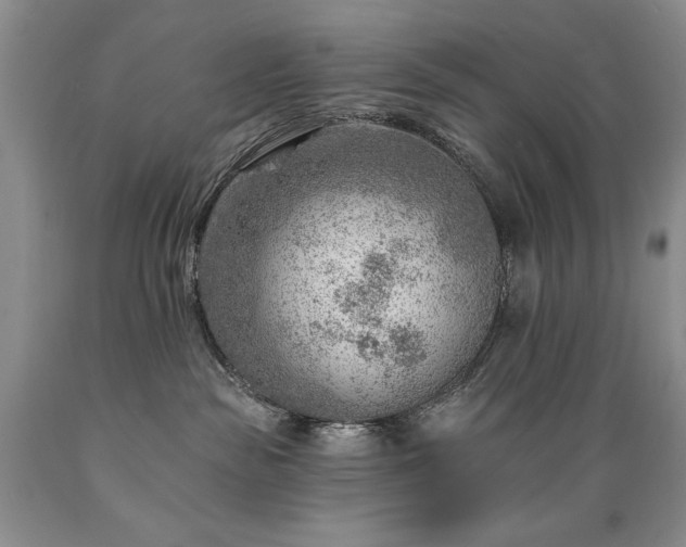 X0000089380189200706221303