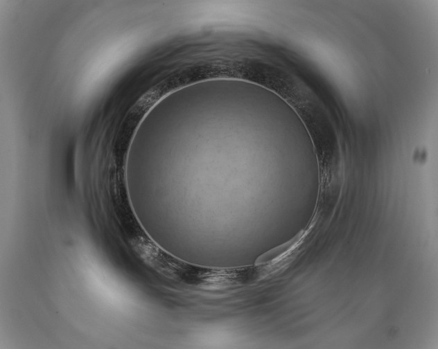 X0000089380191200706221303
