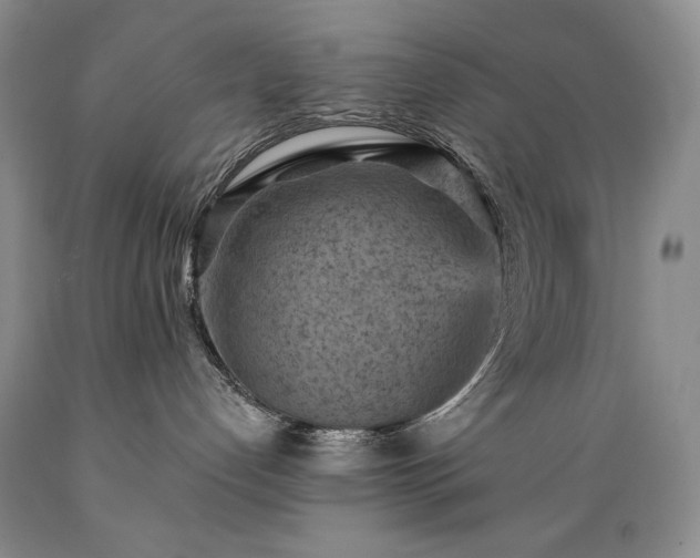 X0000089380192200706221303