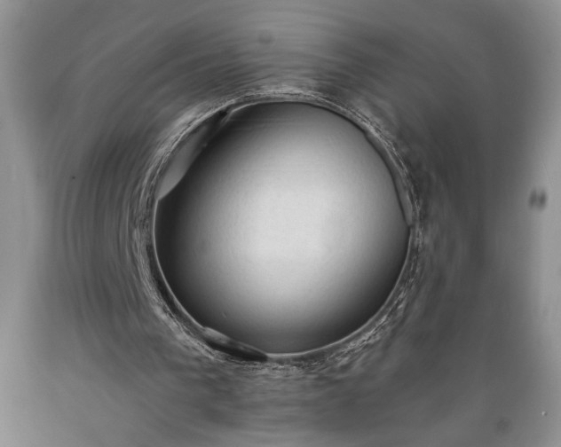 X0000089380193200706221302