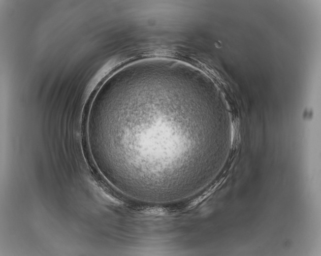 X0000089380195200706221302