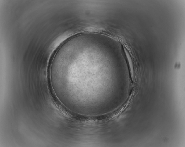 X0000089380196200706221302