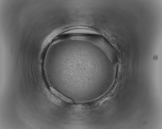 X0000089380197200706221302