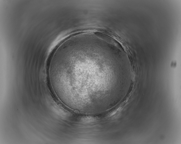 X0000089380198200706221302