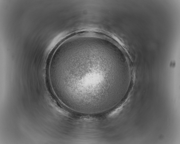 X0000089380199200706221302