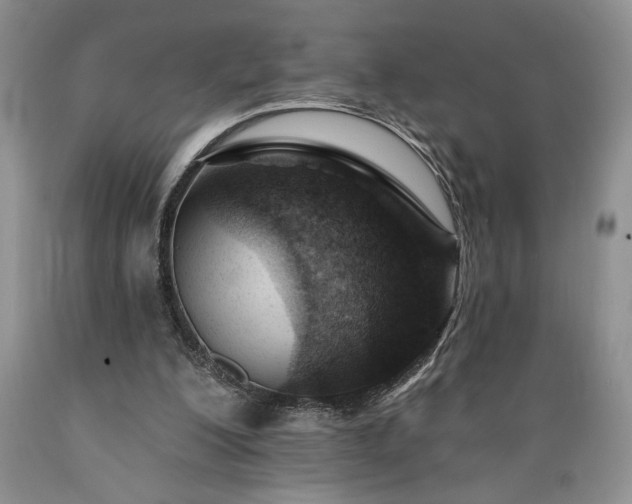 X0000089380200200706221302